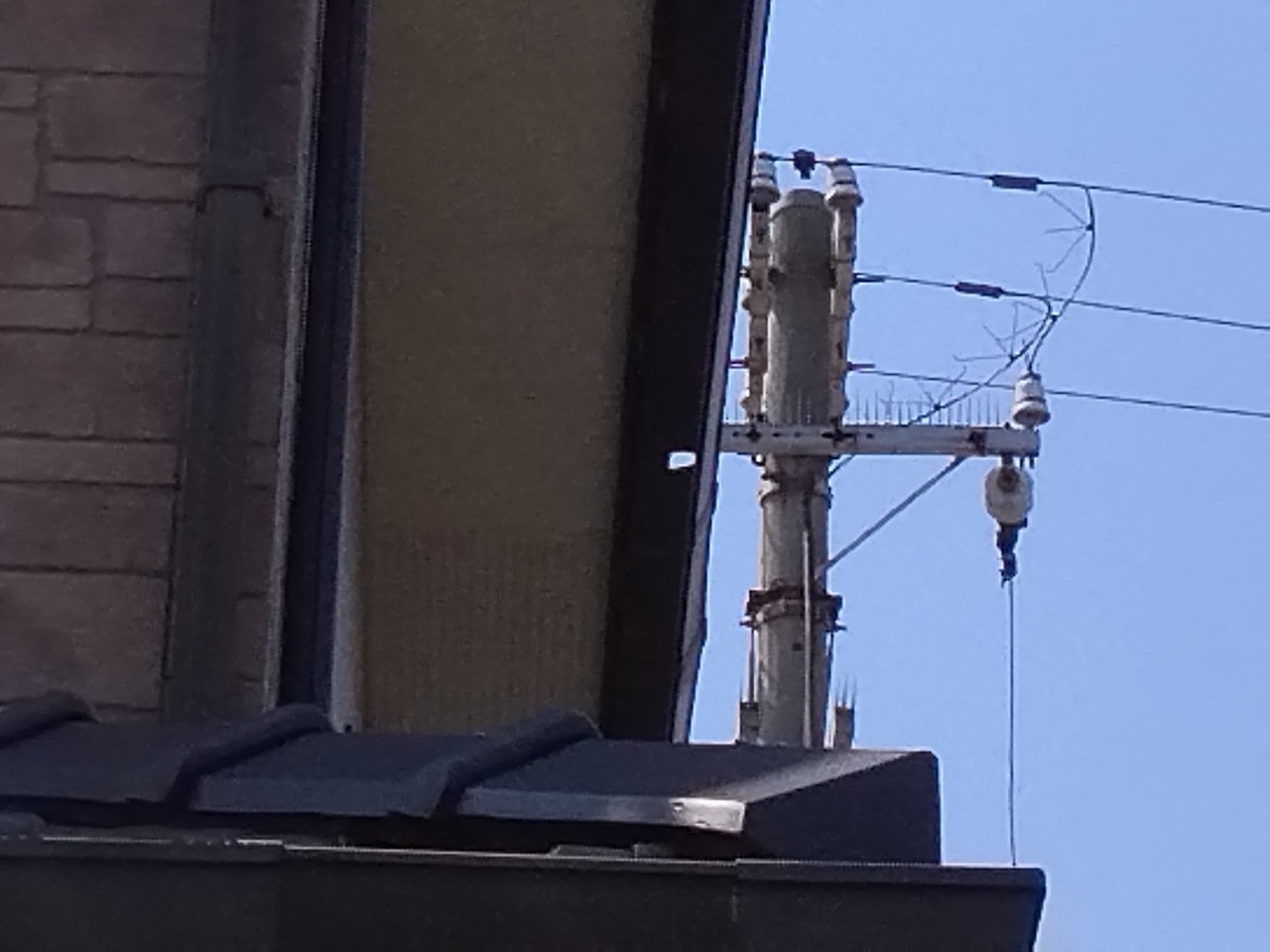 加古郡播磨町　大屋根軒どいに穴あき